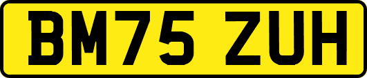BM75ZUH