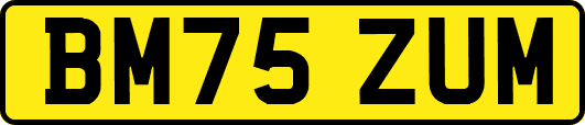 BM75ZUM