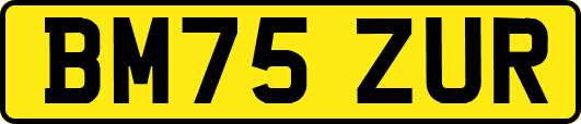 BM75ZUR