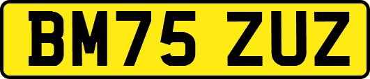 BM75ZUZ