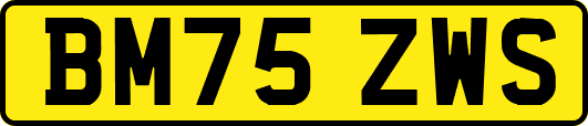 BM75ZWS