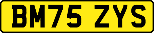 BM75ZYS