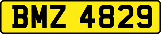 BMZ4829