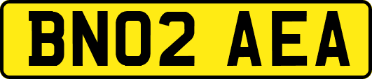 BN02AEA