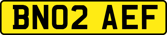 BN02AEF