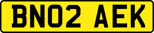 BN02AEK