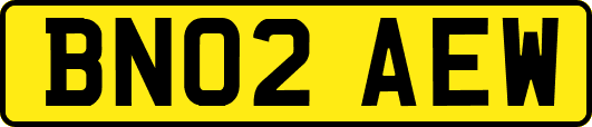 BN02AEW