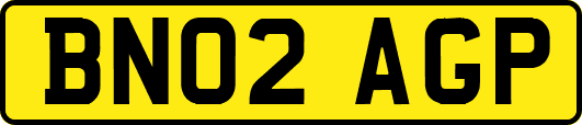 BN02AGP