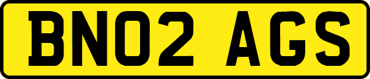 BN02AGS