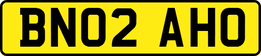 BN02AHO