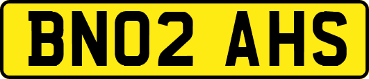 BN02AHS