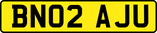 BN02AJU