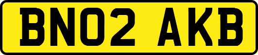 BN02AKB