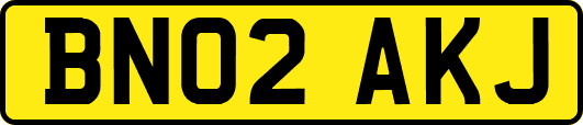 BN02AKJ