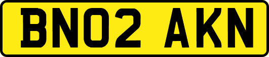 BN02AKN