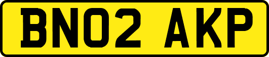 BN02AKP