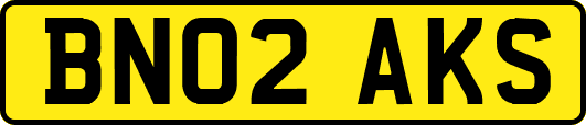 BN02AKS