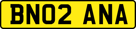 BN02ANA