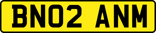 BN02ANM