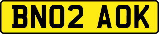 BN02AOK