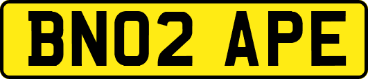 BN02APE