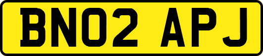 BN02APJ