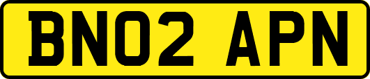 BN02APN