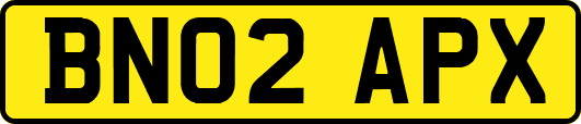 BN02APX