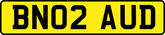 BN02AUD