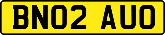 BN02AUO