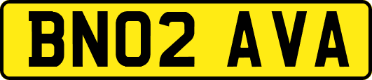 BN02AVA