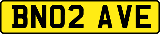 BN02AVE