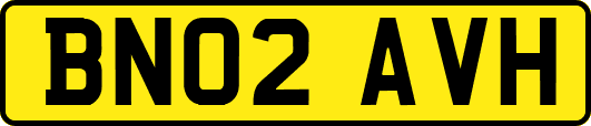 BN02AVH