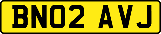BN02AVJ
