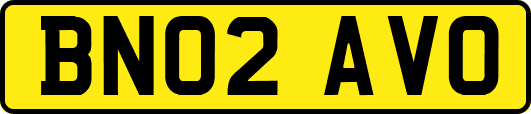 BN02AVO
