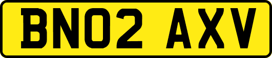 BN02AXV