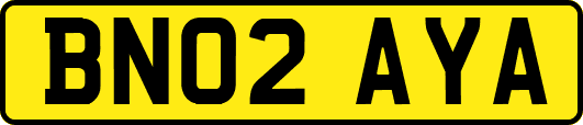 BN02AYA