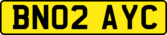 BN02AYC