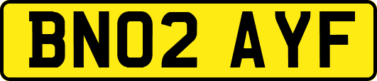 BN02AYF