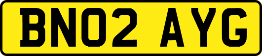BN02AYG