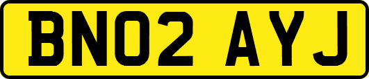 BN02AYJ