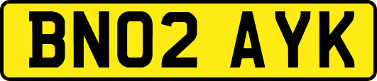 BN02AYK