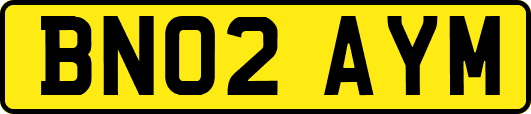 BN02AYM