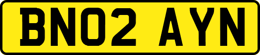 BN02AYN