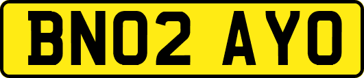 BN02AYO