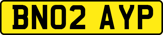 BN02AYP