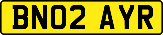 BN02AYR