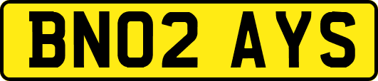 BN02AYS