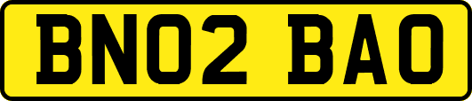 BN02BAO