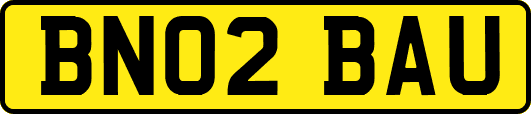 BN02BAU